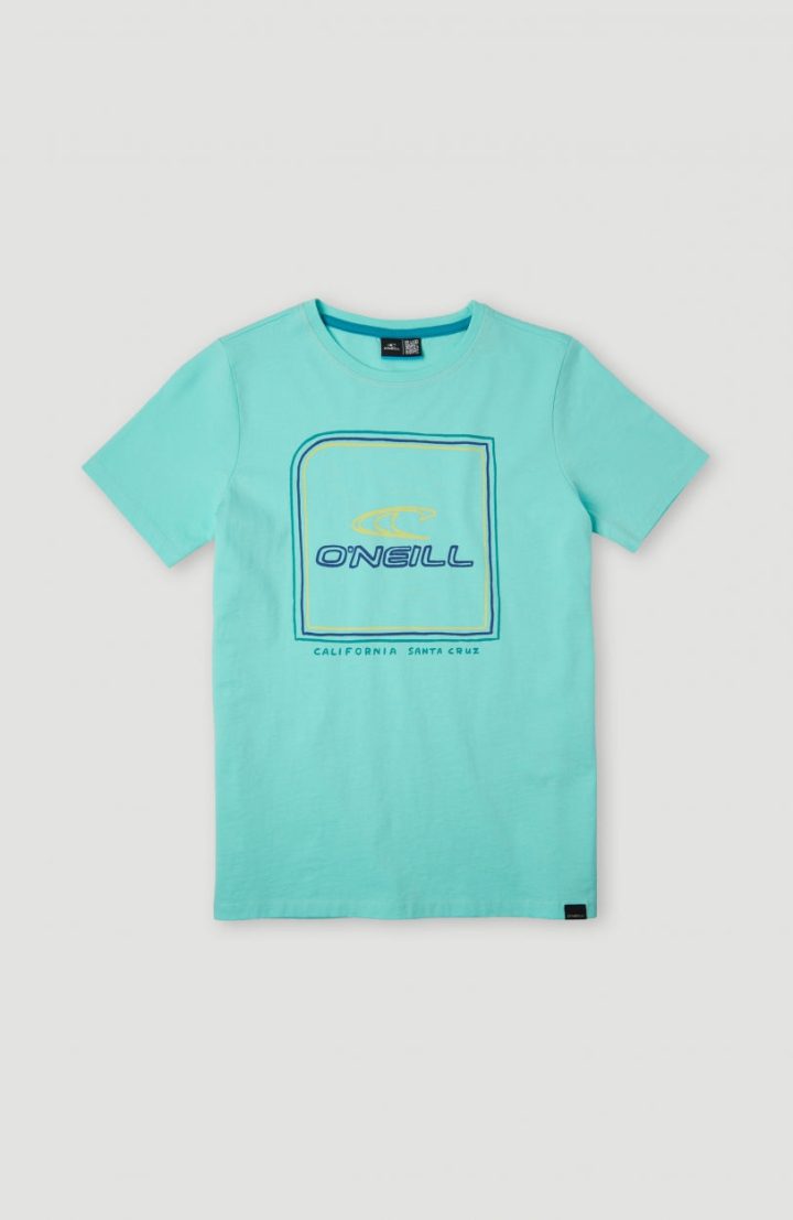 ONEILL ALL YEAR T-SHIRT (4850016-18013)