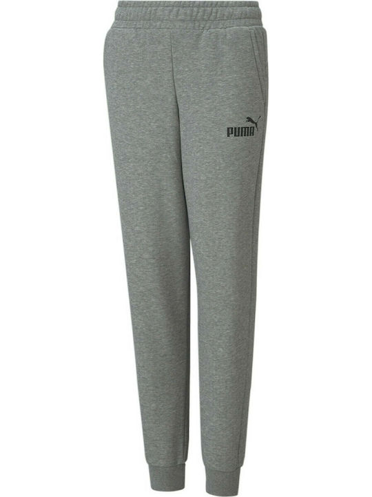 PUMA Essentials Logo Youth Pants (586973-03)
