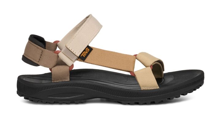 TEVA WINSTED (1017424-NLMT)